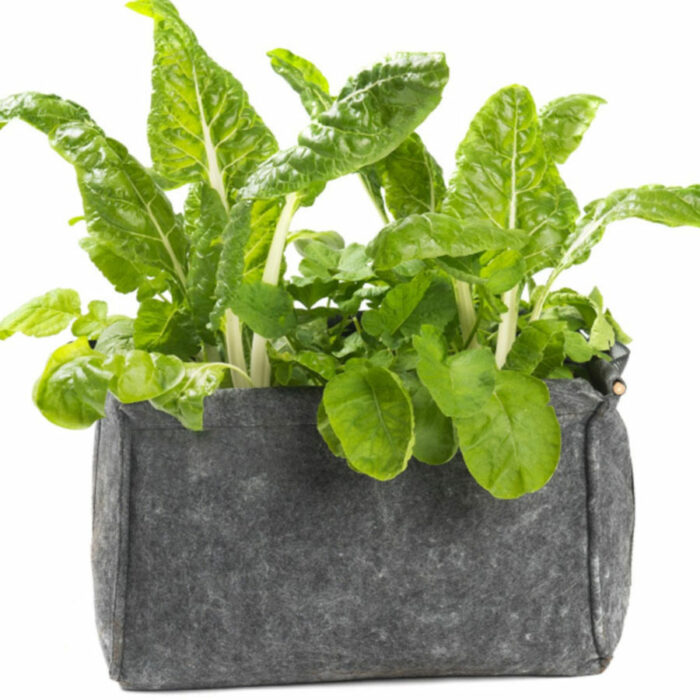 Contenedor mini cubo BIO 18L