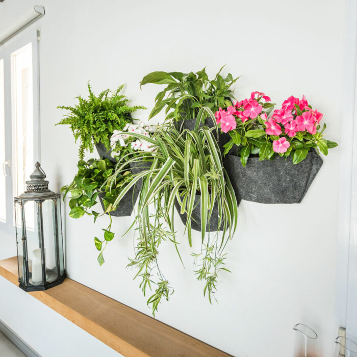 Organic Vertical Pot