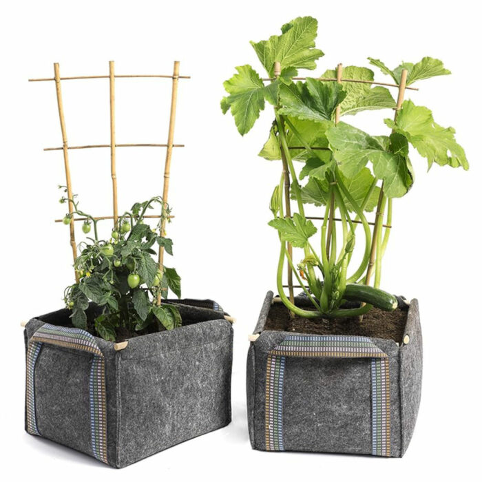 MINI CUBO BIO - Imagen 5