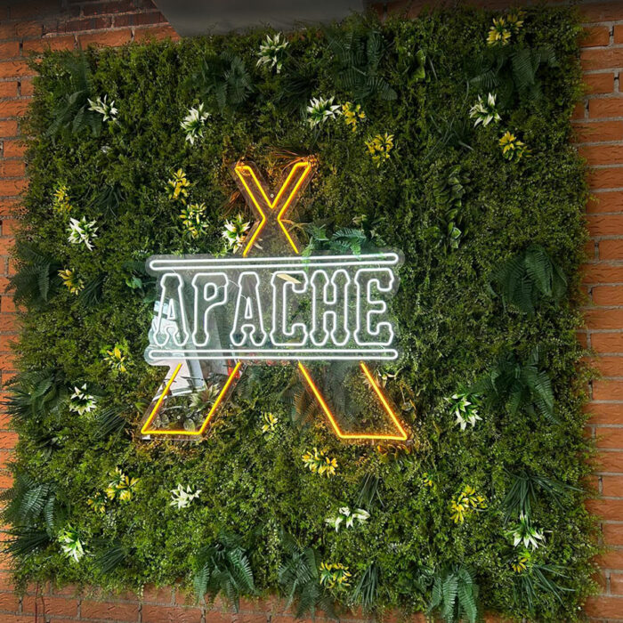 PANEL JAMAICA - Imagen 2