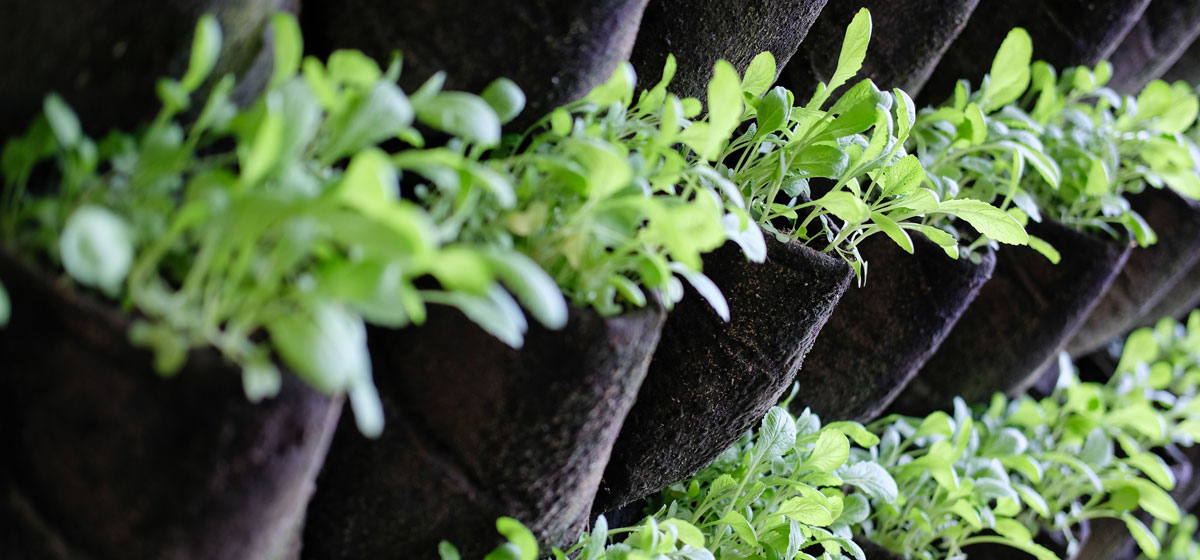 macetas-jardin-vertical-en-linea